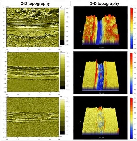 ASTM G99-Pin on Disk.-Wear Track-2D 3D Image