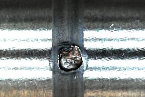 3BALL ON ROD 타입 구름접촉피로 시험기에서 ROD모양의 샘플 표면에 피로 상처 이미지